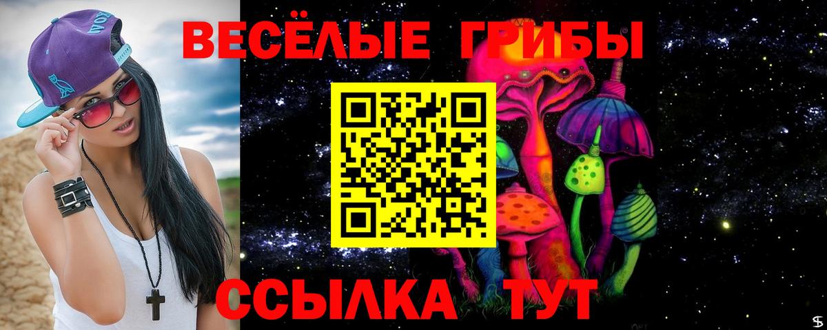 Псилоцибиновые грибы прущие грибы Саянск