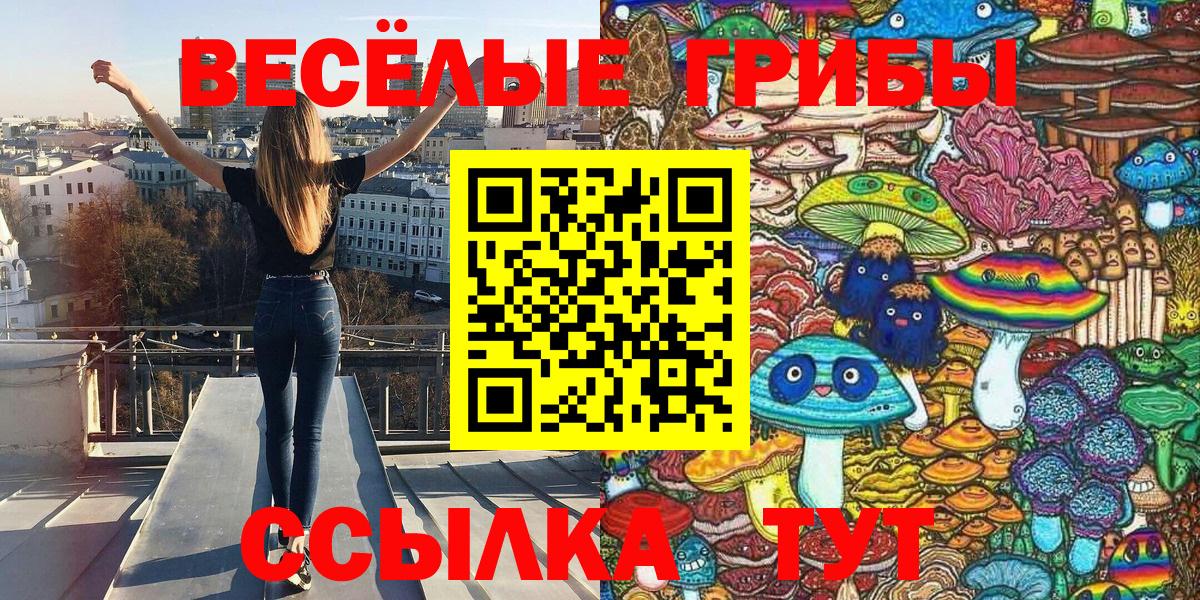 Саянск  Псилоцибиновые грибы прущие грибы  цена наркотик  Вход с VPN 